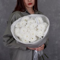 kustovaya hrizantema altaj hrizantema 5 sht 3